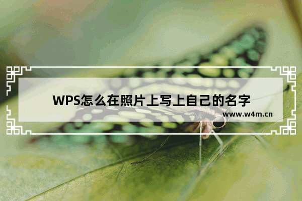 WPS怎么在照片上写上自己的名字