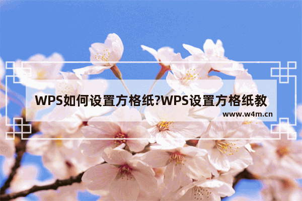 WPS如何设置方格纸?WPS设置方格纸教程