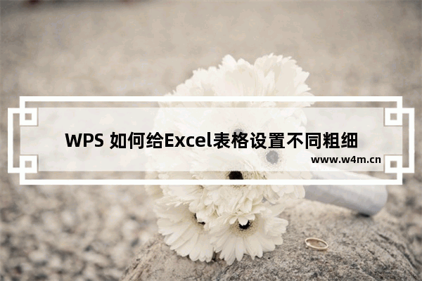 WPS 如何给Excel表格设置不同粗细的边框