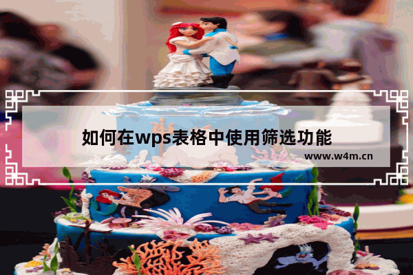 如何在wps表格中使用筛选功能