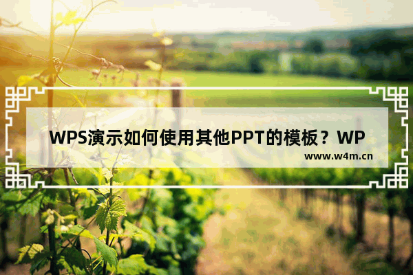 WPS演示如何使用其他PPT的模板？WPS演示使用其他PPT模板教程