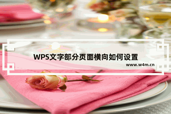 WPS文字部分页面横向如何设置