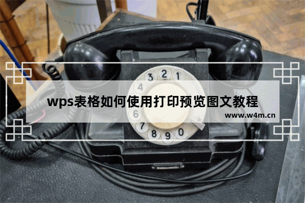 wps表格如何使用打印预览图文教程