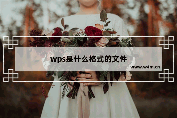 wps是什么格式的文件