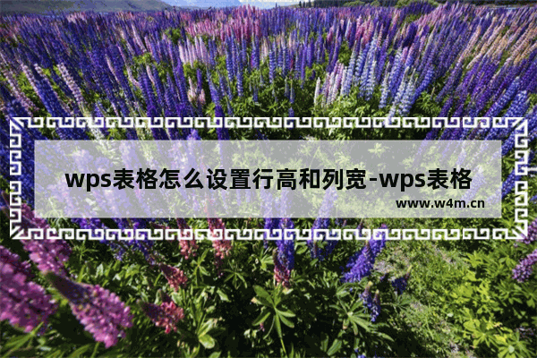 wps表格怎么设置行高和列宽-wps表格设置行高和列宽步骤教程