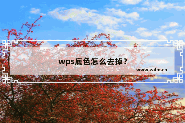 wps底色怎么去掉？