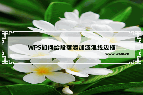 WPS如何给段落添加波浪线边框