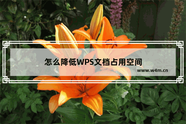 怎么降低WPS文档占用空间