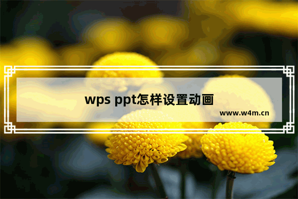 wps ppt怎样设置动画