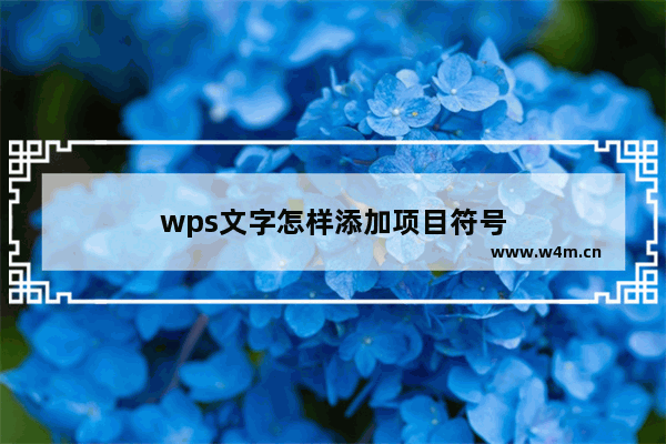 wps文字怎样添加项目符号