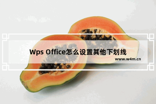 Wps Office怎么设置其他下划线