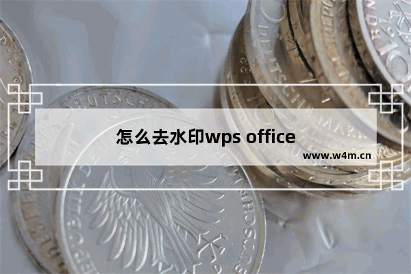 怎么去水印wps office