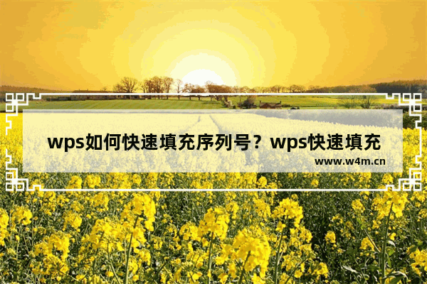 wps如何快速填充序列号？wps快速填充序列号详细教程