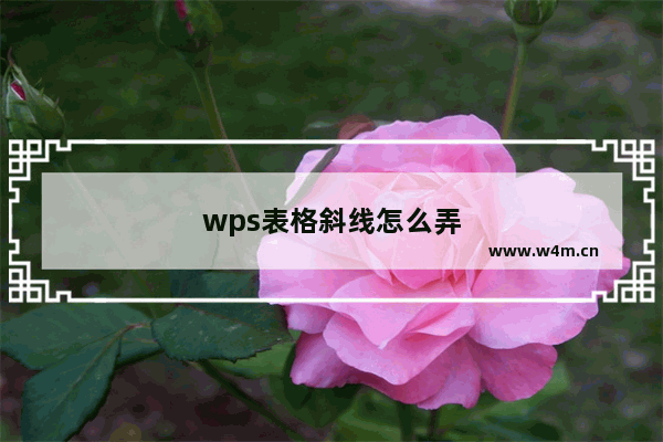 wps表格斜线怎么弄