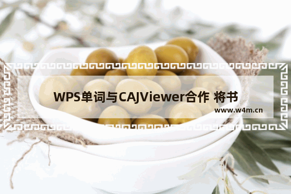 WPS单词与CAJViewer合作 将书籍中的单词输入计算机