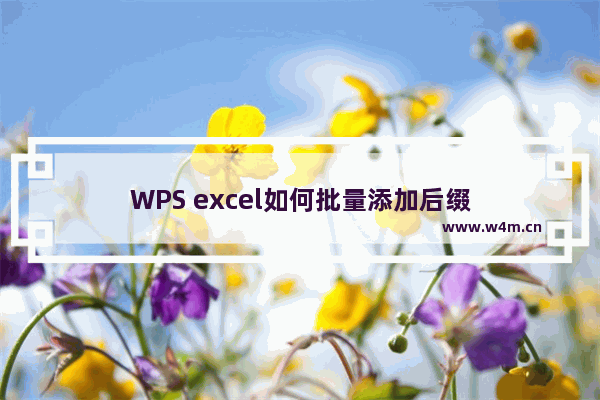 WPS excel如何批量添加后缀