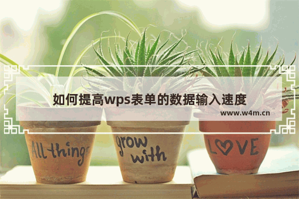 如何提高wps表单的数据输入速度