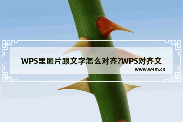 WPS里图片跟文字怎么对齐?WPS对齐文字和图片的方法教程