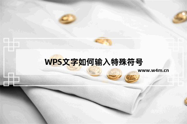 WPS文字如何输入特殊符号