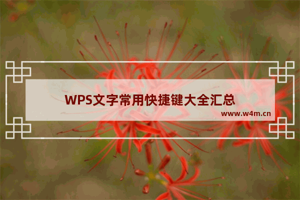 WPS文字常用快捷键大全汇总