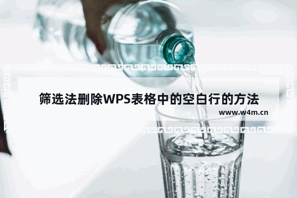 筛选法删除WPS表格中的空白行的方法