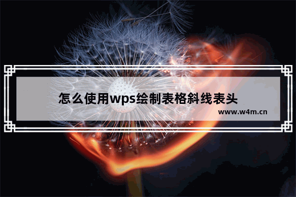 怎么使用wps绘制表格斜线表头