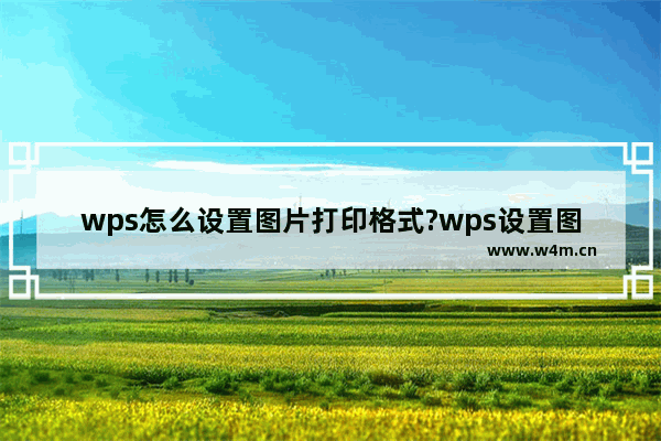 wps怎么设置图片打印格式?wps设置图片打印格式的方法教程