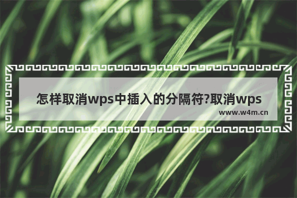 怎样取消wps中插入的分隔符?取消wps中插入的分隔符教程