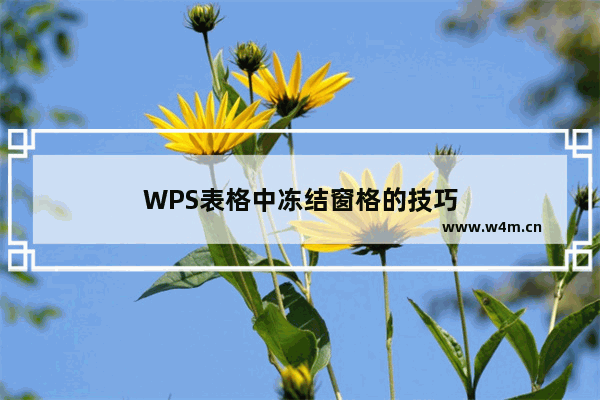 WPS表格中冻结窗格的技巧