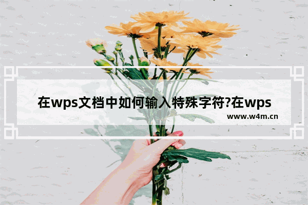 在wps文档中如何输入特殊字符?在wps文档中输入特殊字符的方法教程