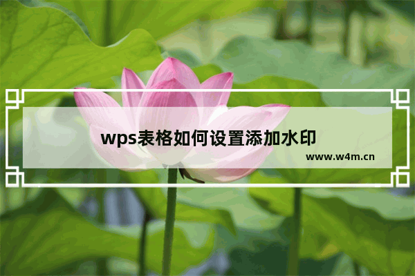 wps表格如何设置添加水印