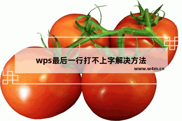 wps最后一行打不上字解决方法