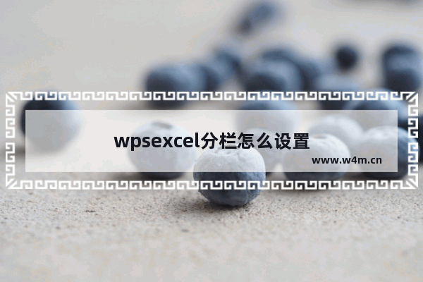 wpsexcel分栏怎么设置