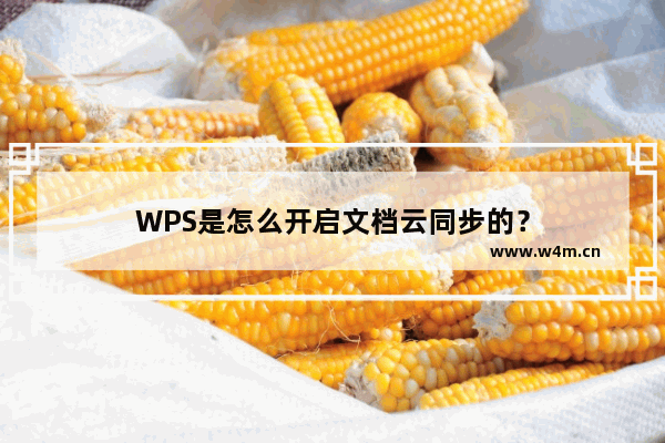 WPS是怎么开启文档云同步的？