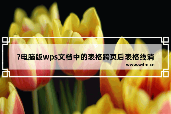 ?电脑版wps文档中的表格跨页后表格线消失怎么办