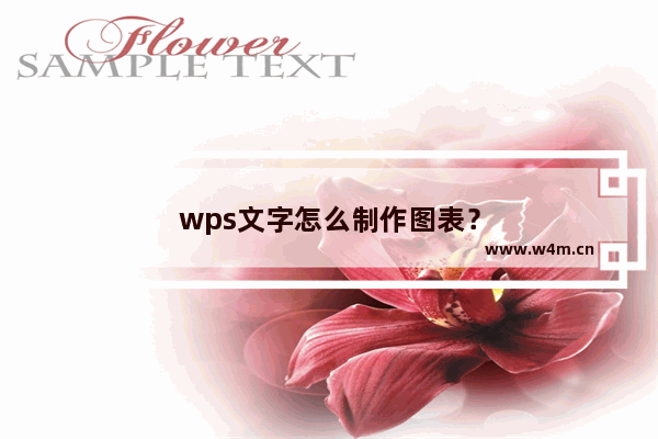 wps文字怎么制作图表？