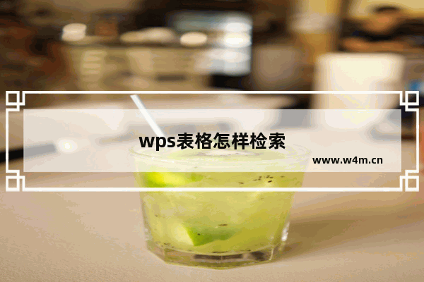 wps表格怎样检索