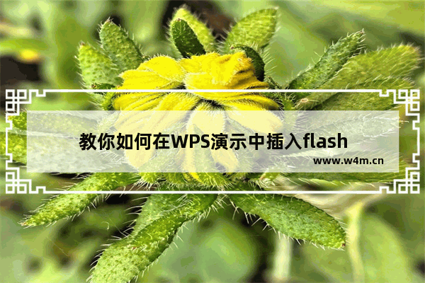 教你如何在WPS演示中插入flash