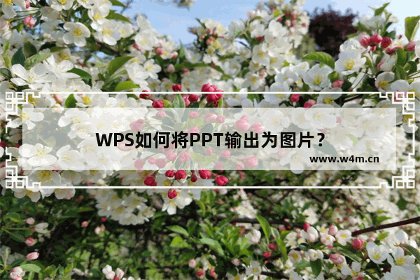 WPS如何将PPT输出为图片？