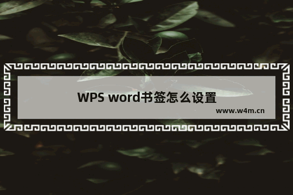 WPS word书签怎么设置