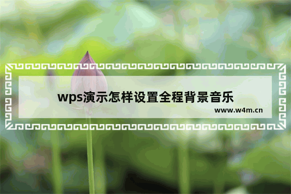 wps演示怎样设置全程背景音乐