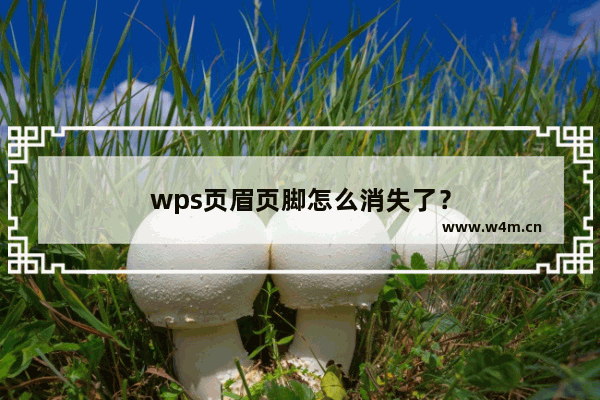 wps页眉页脚怎么消失了？