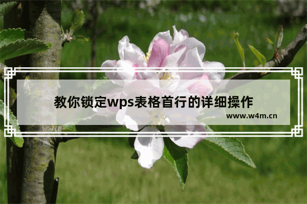 教你锁定wps表格首行的详细操作