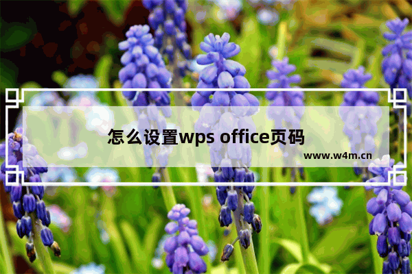 怎么设置wps office页码