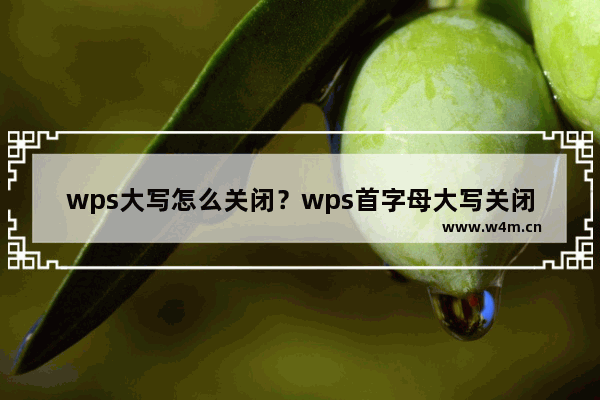 wps大写怎么关闭？wps首字母大写关闭