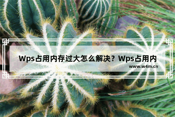 Wps占用内存过大怎么解决？Wps占用内存过大的解决方法