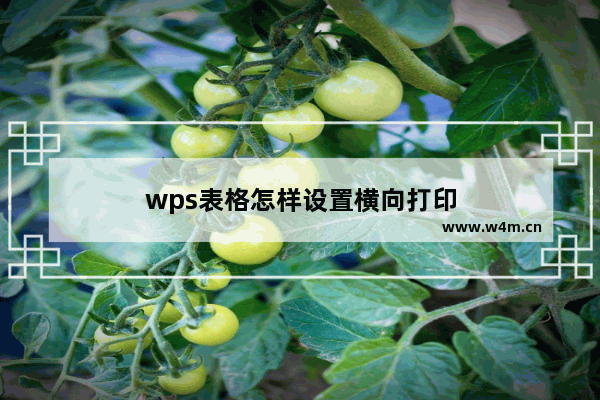 wps表格怎样设置横向打印