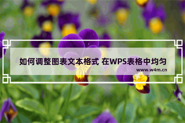 如何调整图表文本格式 在WPS表格中均匀显示数据系列