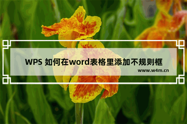 WPS 如何在word表格里添加不规则框线