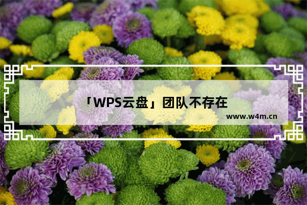 「WPS云盘」团队不存在